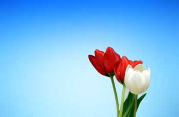 免费DDOS攻击测试工具