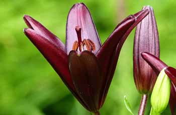 免费DDOS攻击测试工具