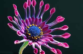 免费ddos在线攻击