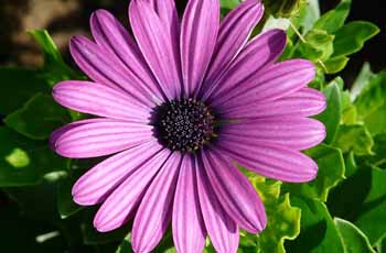 升级版完善的网站攻击器