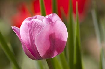 ip攻击器网页版ddos